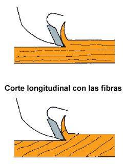 Corte longitudinal con las fibras
