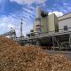 planta industrial de biomasa